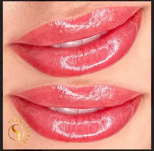 Lips makeup services Bay Area